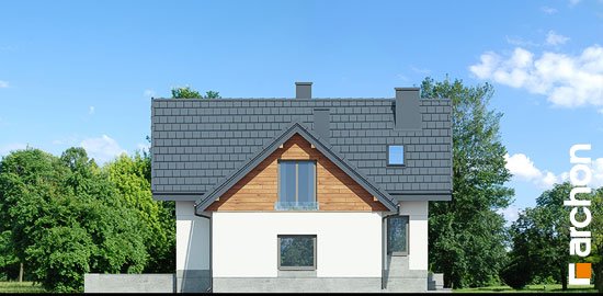 Проект дома Дом в помело (П) - 5 С мансардным этажом дома в Киеве