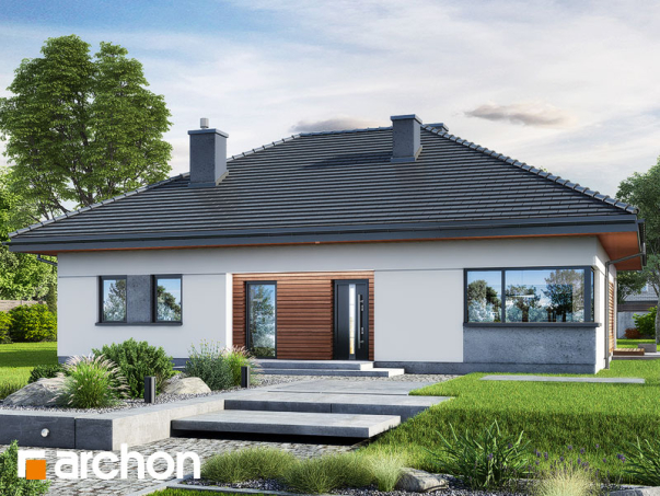 Проект дома Дом в жонкилях (В) - 2 Одноэтажные дома в Киеве