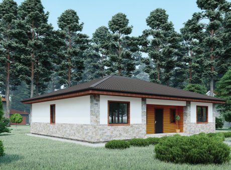 Проєкт будинку DBT 307