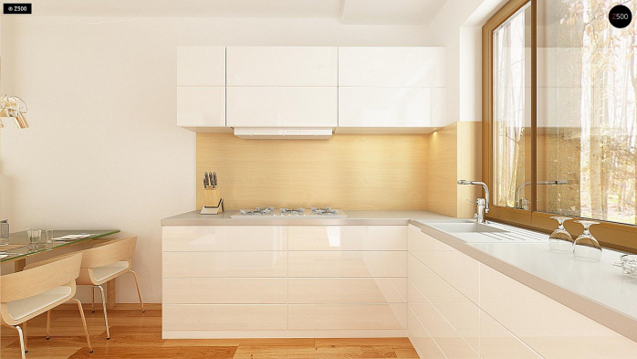 Проект дома U262 - 9 Одноэтажные дома в Киеве