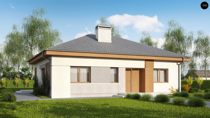 Проект дома U273 a - 1 Одноэтажные дома в Киеве