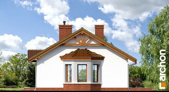 Проект дома Дом в ежевике 2 вер.2 - 4 Одноэтажные дома в Киеве