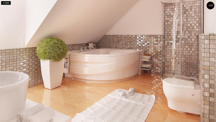 Проект дома U263 + - 9 С мансардным этажом дома в Киеве