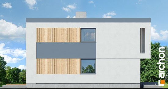 Проект дома Дом в тунбергиях 4 (б) - 5 Двухэтажные дома в Киеве