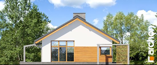 Проект дома Дом в мекинтошах (ВП) - 5 Одноэтажные дома в Киеве