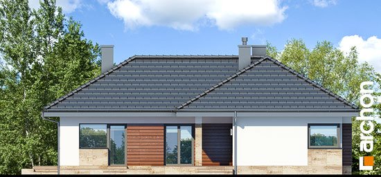 Проект дома Дом в грушках - 6 Одноэтажные дома в Киеве