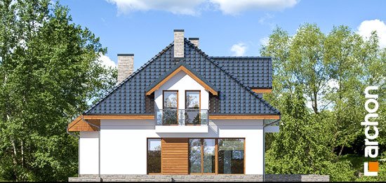 Проект дома Дом в сансевиериях - 6 С мансардным этажом дома в Киеве