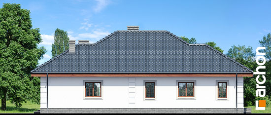 Проект дома Дом в имбире вер.2 - 5 Одноэтажные дома в Киеве