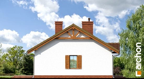 Проект дома Дом в ежевике 2 вер.2 - 5 Одноэтажные дома в Киеве