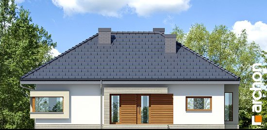 Проект дома Дом под красной рябиной 7 вер.2 - 3 Одноэтажные дома в Киеве