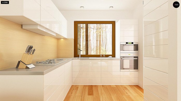 Проект дома U262 - 8 Одноэтажные дома в Киеве