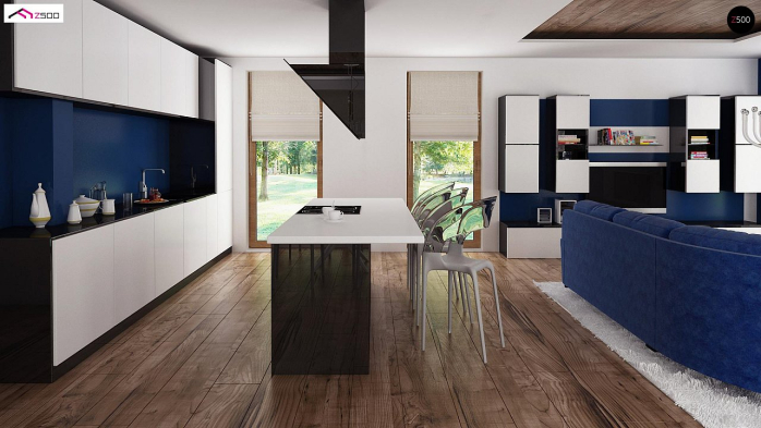 Проєкт будинку U330 - Одноповерхові дома у Києві