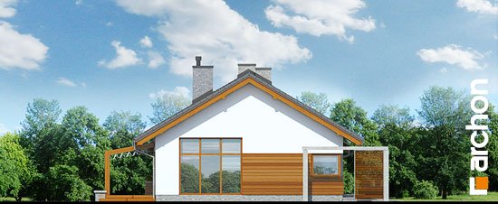 Проект дома Дом в мекинтошах - 5 Одноэтажные дома в Киеве
