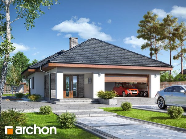 Проект дома Дом в андромедах (Г2) - 1 Одноэтажные дома в Киеве