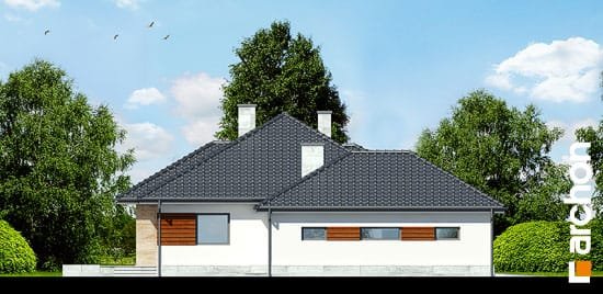 Проект дома Дом в акебиях 2 вер.2 - 5 Одноэтажные дома в Киеве