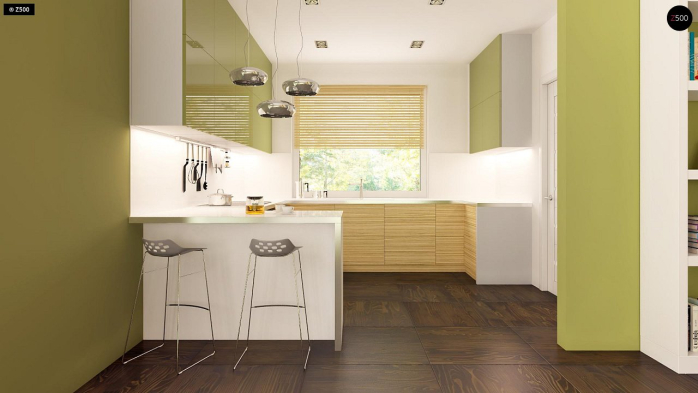 Проект дома U202 - 8 Одноэтажные дома в Киеве