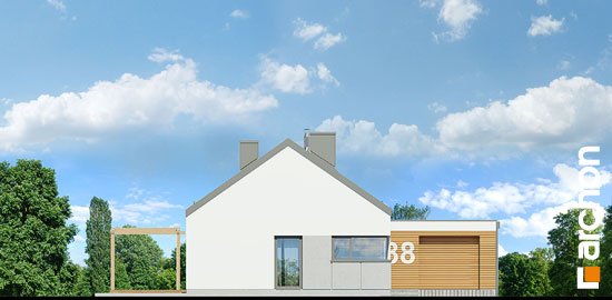 Проект дома Дом в анабеллях - 3 Одноэтажные дома в Киеве