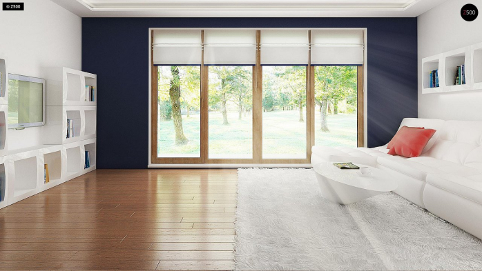 Проект дома U256 - 11 Одноэтажные дома в Киеве