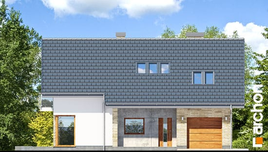 Проект дома Дом в вистерии 3 - 3 С мансардным этажом дома в Киеве