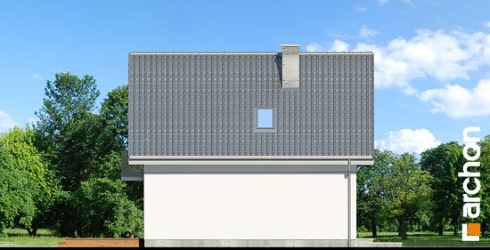 Проект дома Дом в винограде 7 - 4 С мансардным этажом дома в Киеве