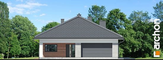 Проект дома Дом в ренклодах 11 (Г2) - 3 Одноэтажные дома в Киеве