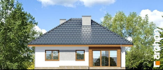 Проєкт будинку Будинок в бузку 2 - Одноповерхові дома у Києві