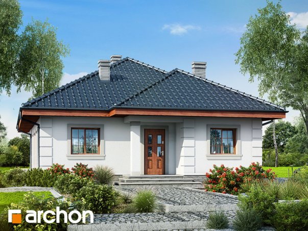Проєкт будинку Будинок в імбирі вер.2 - Одноповерхові дома у Києві
