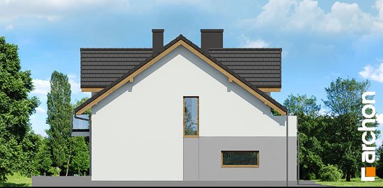 Проект дома Дом в клематисах 21 - 5 С мансардным этажом дома в Киеве