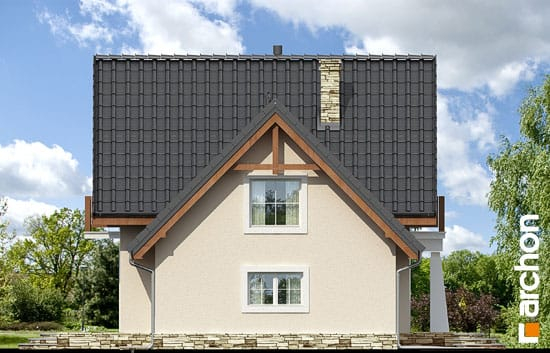 Проект дома Дом в винограде 2 вер.2 - 5 С мансардным этажом дома в Киеве