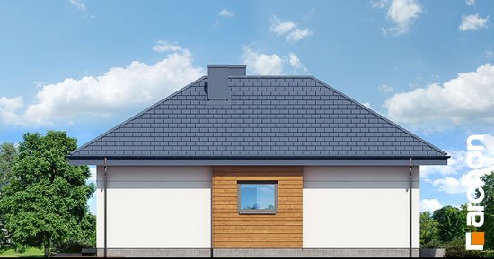 Проект дома Дом в коштелях - 4 Одноэтажные дома в Киеве