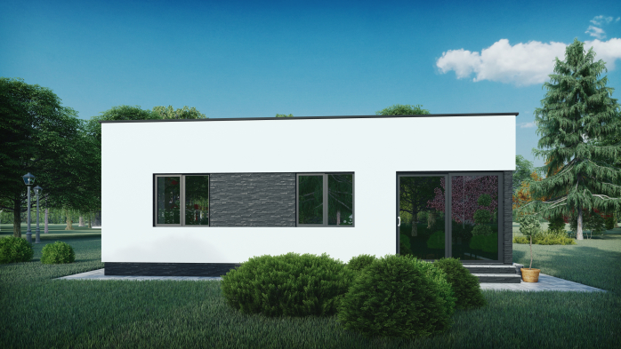 Проект дома DBT 314 - 2 Одноэтажные дома в Киеве