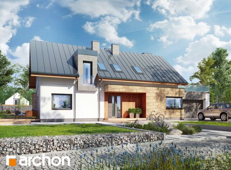 Проект дома Дом в карри 2