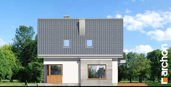 Проект дома Дом в винограде 7 - 5 С мансардным этажом дома в Киеве