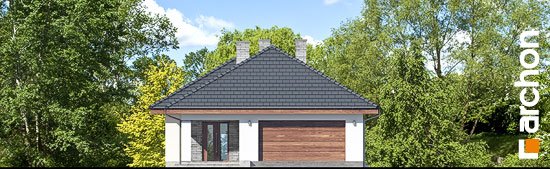 Проект дома Дом в андромедах (Г2) - 3 Одноэтажные дома в Киеве