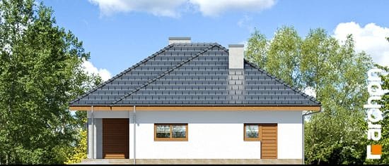 Проект дома Дом в сирени 2 - 4 Одноэтажные дома в Киеве