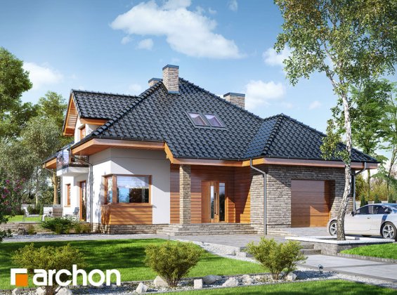 Проект дома Дом в сансевиериях