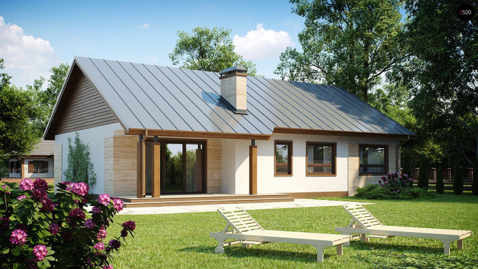 Проєкт будинку U98 - Одноповерхові дома у Києві