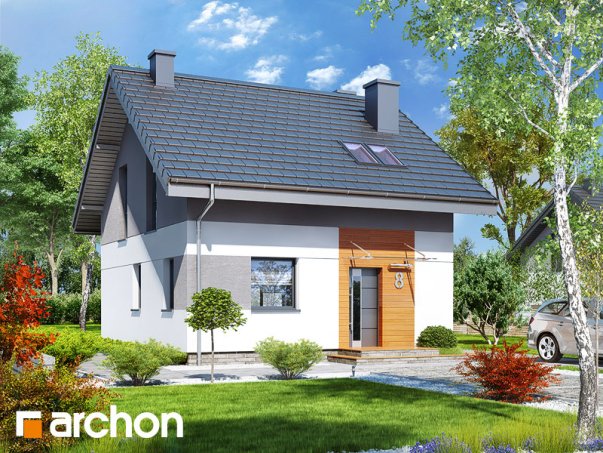 Проект дома Дом в аркадии - 1 С мансардным этажом дома в Киеве