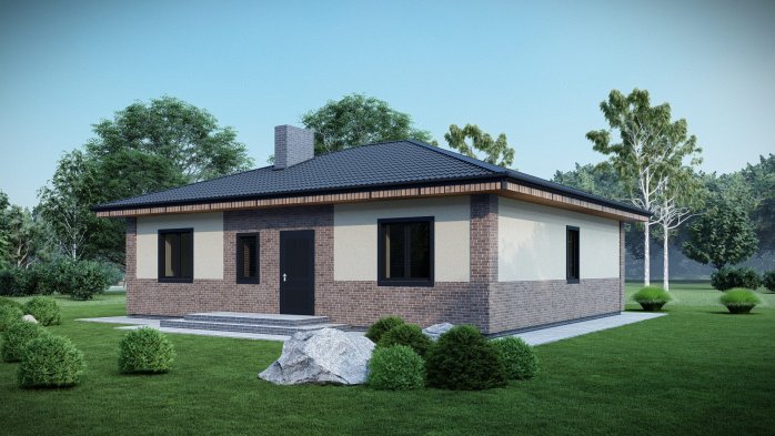 Проєкт будинку DBT 669 - Одноповерхові дома у Києві