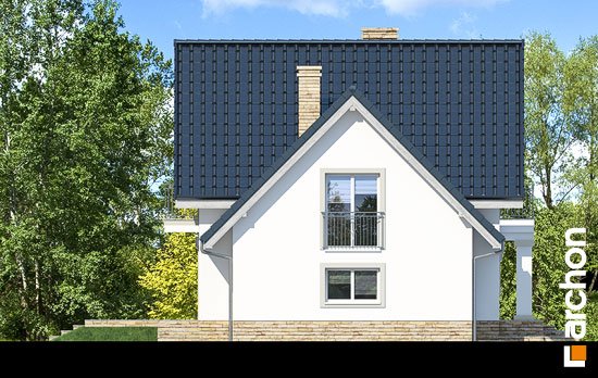 Проект дома Дом в винограде 2 (П) - 5 С мансардным этажом дома в Киеве