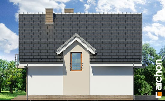 Проект дома Дом в рододендронах 5 (ВH) - 4 С мансардным этажом дома в Киеве