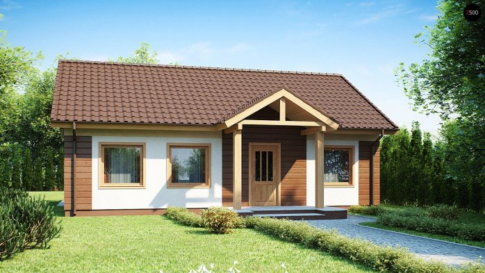 Проєкт будинку U61 - Одноповерхові дома у Києві