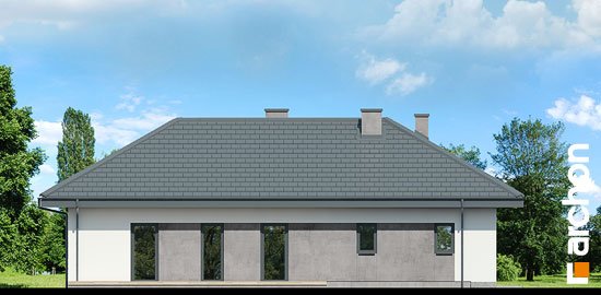 Проєкт будинку Будинок в каландівах - Одноповерхові дома у Києві