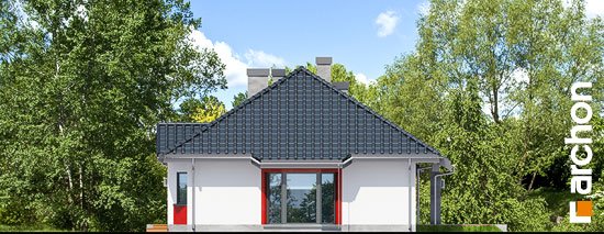 Проект дома Дом в гаурах (Г2Н) - 4 Одноэтажные дома в Киеве