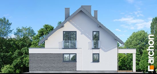 Проект дома Дом в нефрисах (Г2) - 4 С мансардным этажом дома в Киеве