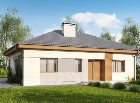 Проєкт будинку U273 a