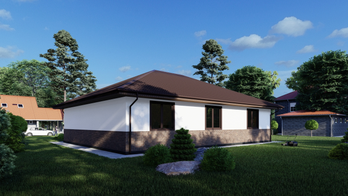 Проєкт будинку DBT 408 - Одноповерхові дома у Києві