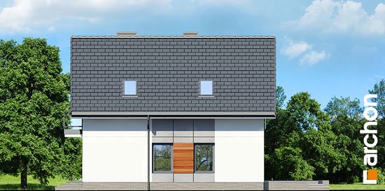 Проект дома Дом в винограде 6 вер.2 - 4 С мансардным этажом дома в Киеве