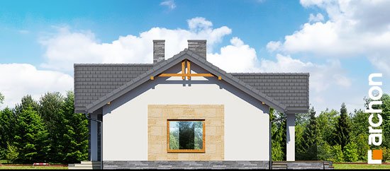 Проект дома Дом в лещиновнике 2 - 4 Одноэтажные дома в Киеве