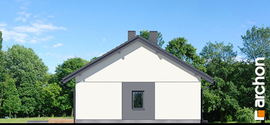 Проект дома Дом в сурфиниях 2 - 4 Одноэтажные дома в Киеве